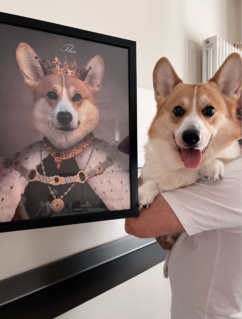 TOSCANA ECONOMY - NobilZampa: unire l'arte al pet-friendly