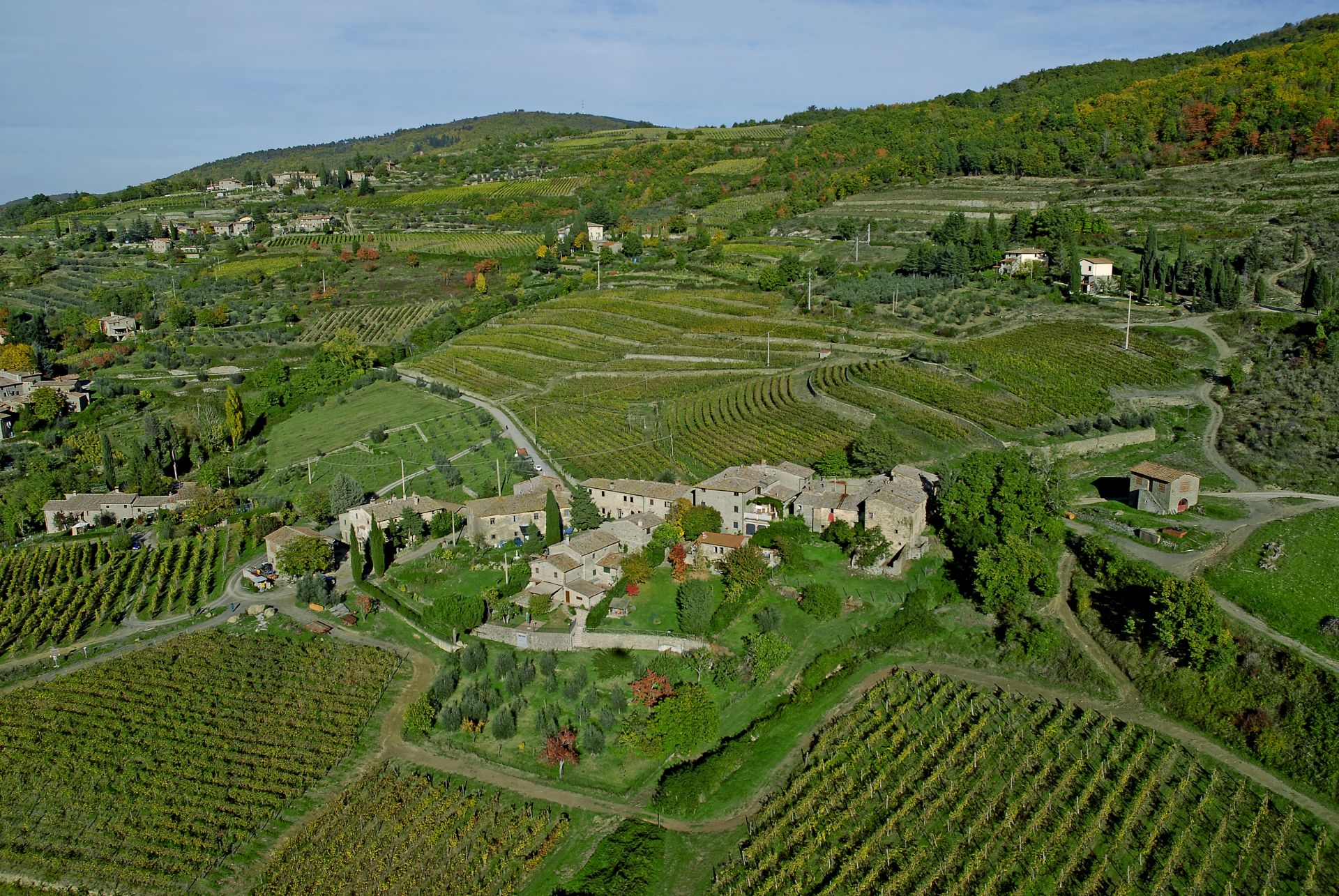 TOSCANA ECONOMY - Agricoltura: sfida al cambiamento climatico