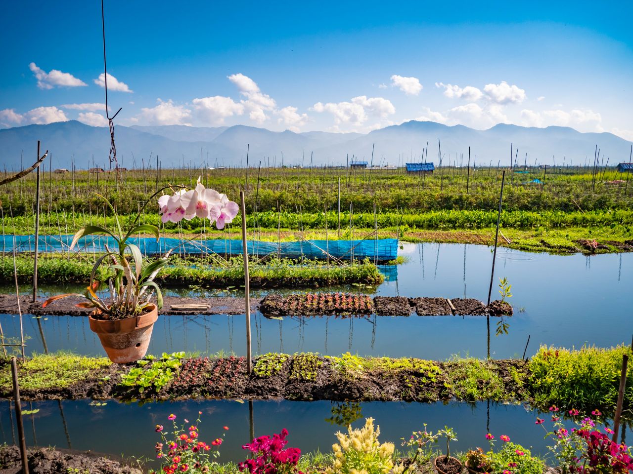 TOSCANA ECONOMY - Agricoltura: sfida al cambiamento climatico
