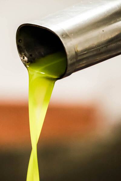 toscana economy - olio bovoli