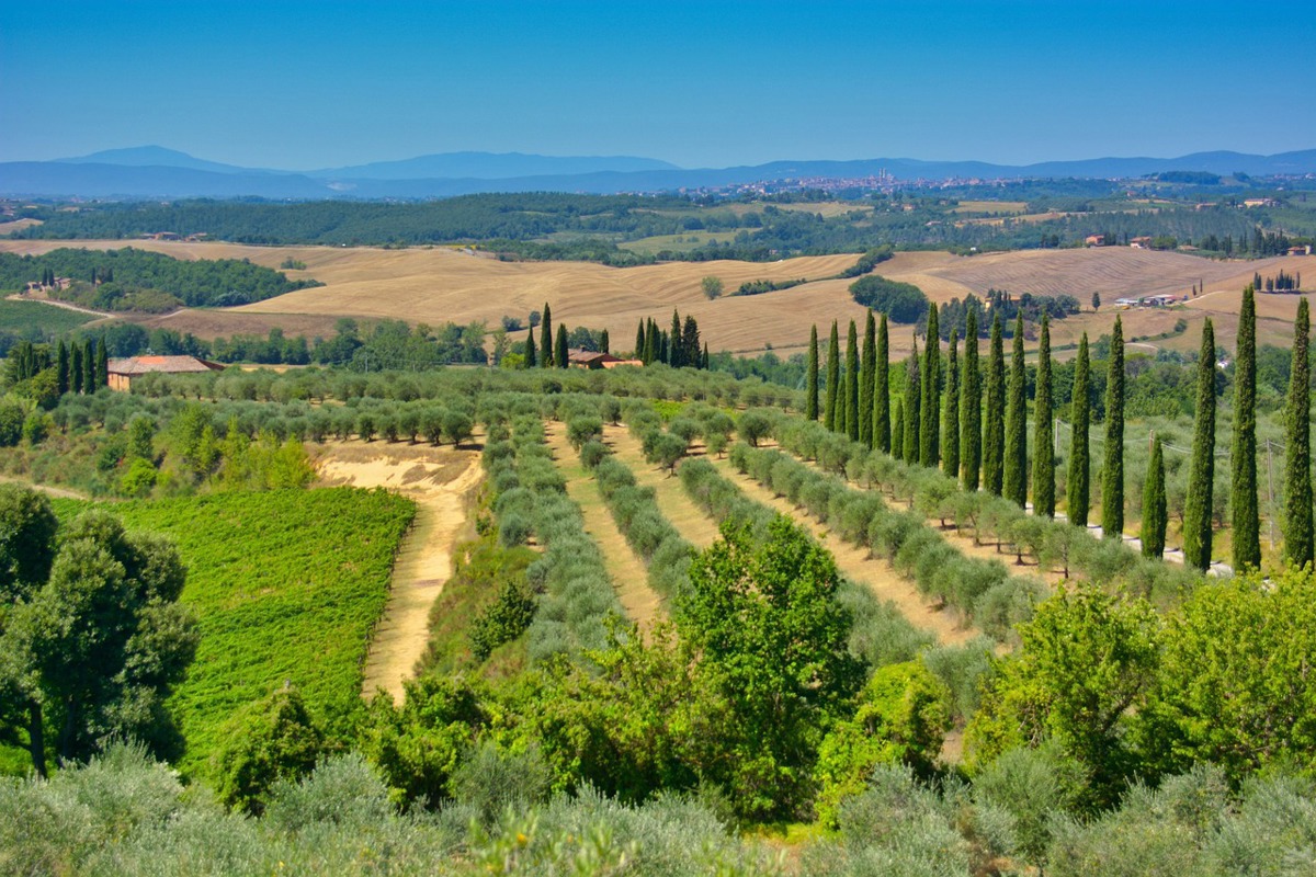 
TOSCANA ECONOMY - Le esportazioni della Toscana